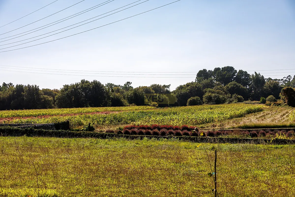Moradia T6+ à venda em Vile, Caminha — foto 38