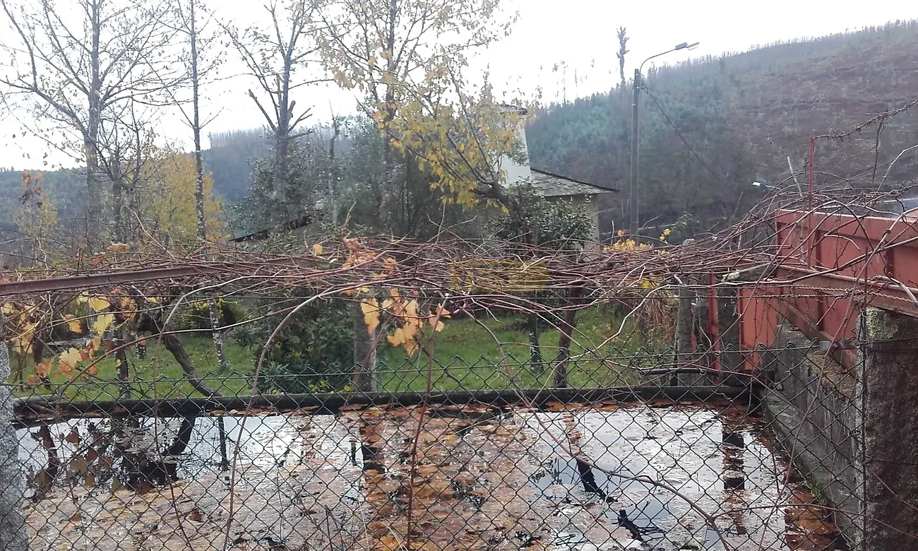 Moradia T3 à venda em São Miguel do Mato, Arouca — foto 7
