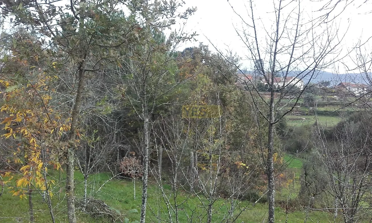 Moradia T3 à venda em São Miguel do Mato, Arouca — foto 9