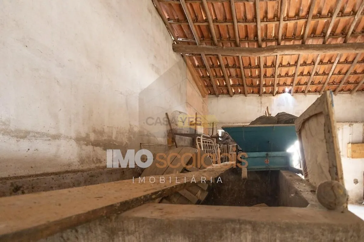 Moradia T0 à venda em Fráguas, Rio Maior — foto 9