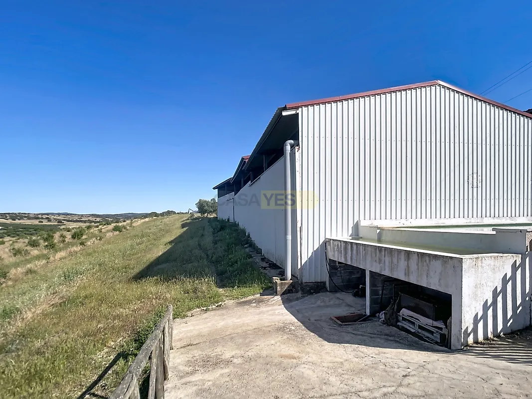 Apartamento T3 à venda em Safara e Santo Aleixo da Restauração, Moura — foto 27