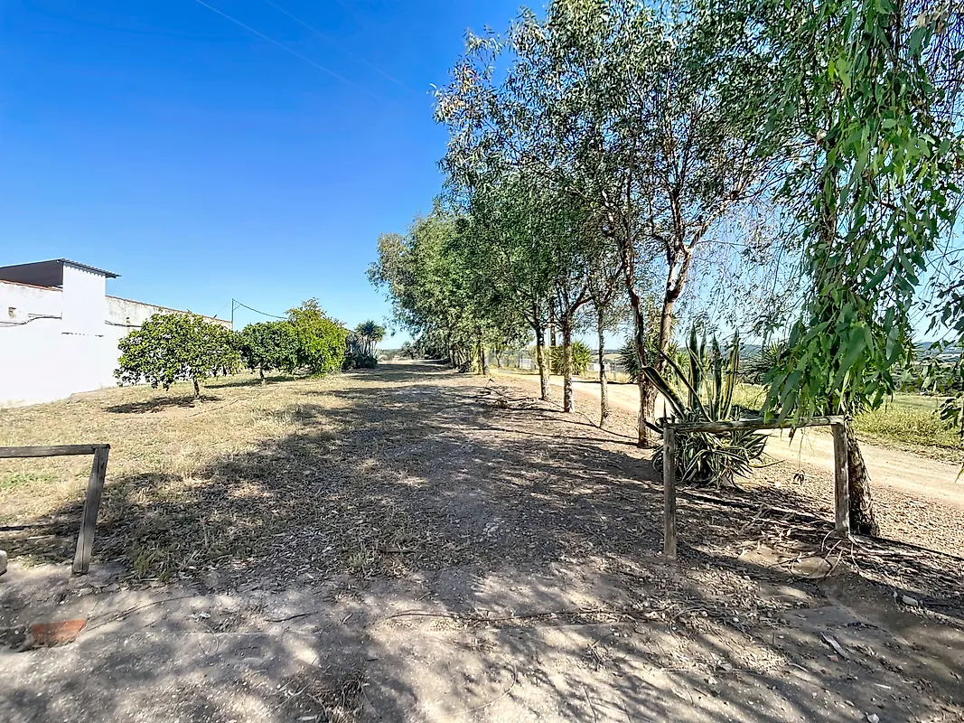 Apartamento T3 à venda em Safara e Santo Aleixo da Restauração, Moura — foto 38