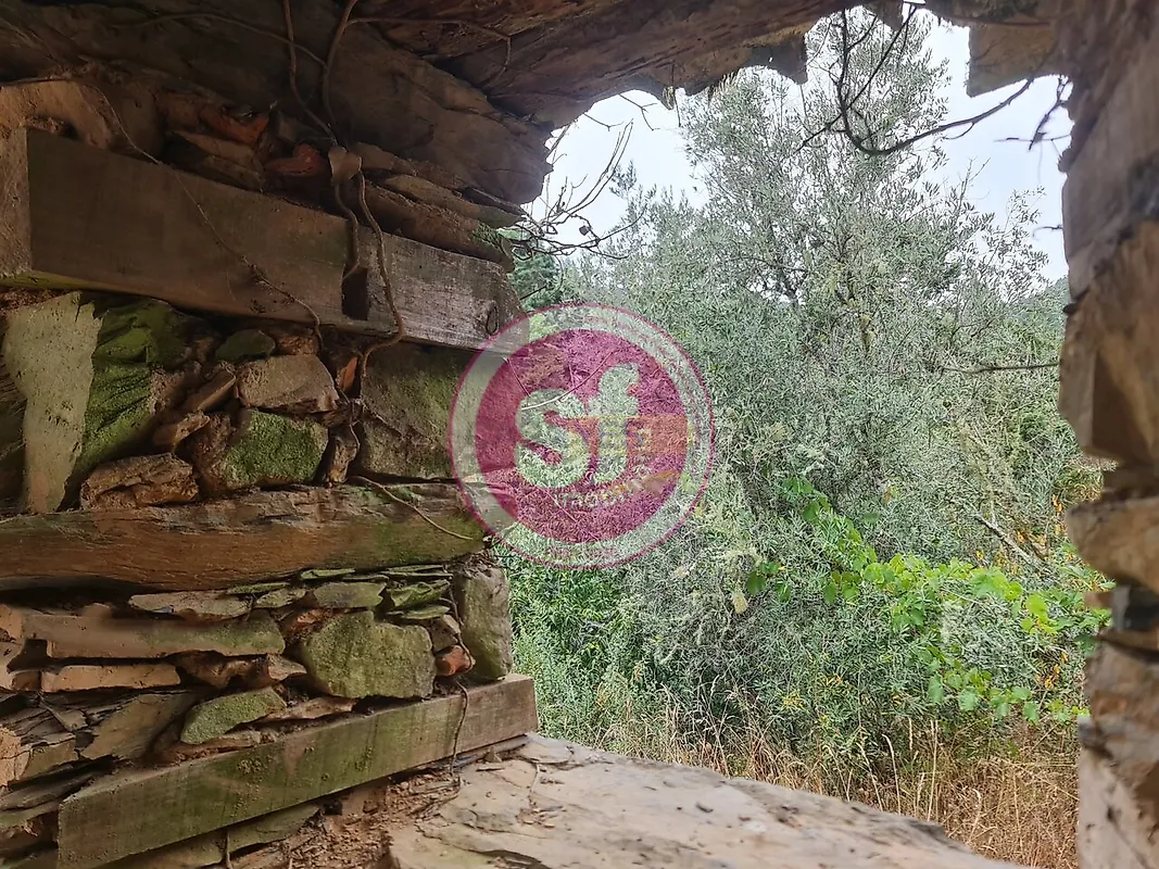 Moradia T3 à venda em Arcos e Mogofores, Anadia — foto 20