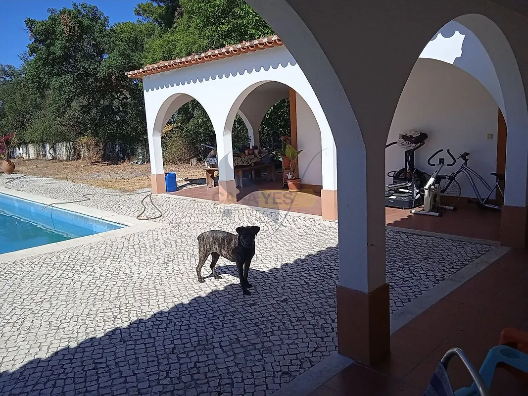 Moradia T5 à venda em Chamusca e Pinheiro Grande, Chamusca — foto 2