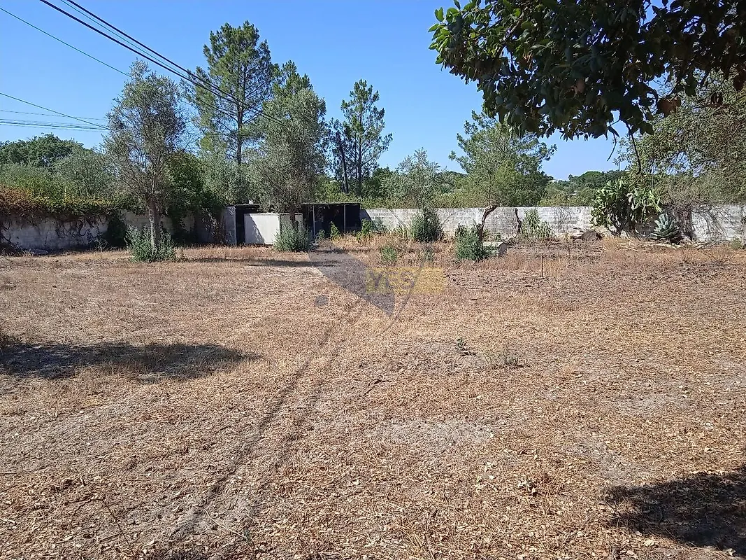 Moradia T5 à venda em Chamusca e Pinheiro Grande, Chamusca — foto 20