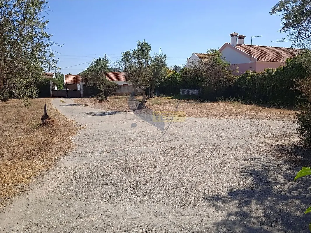 Moradia T5 à venda em Chamusca e Pinheiro Grande, Chamusca — foto 22