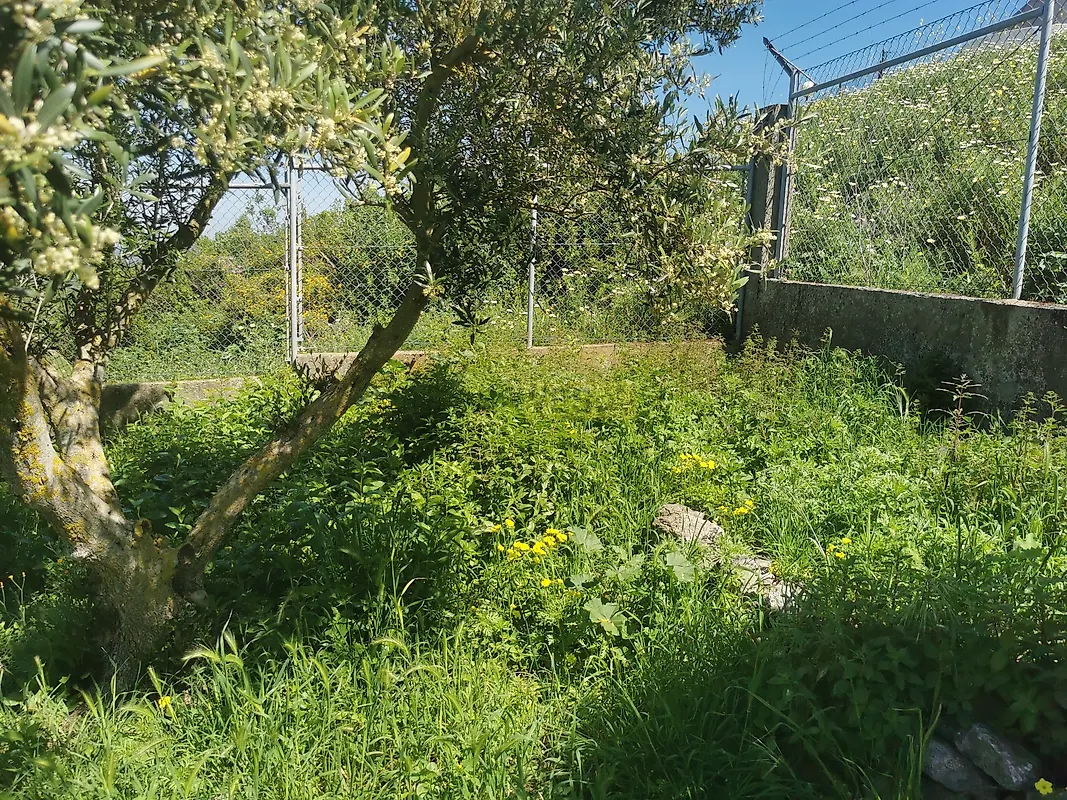 Moradia T6+ à venda em Camarate, Unhos e Apelação, Loures — foto 8