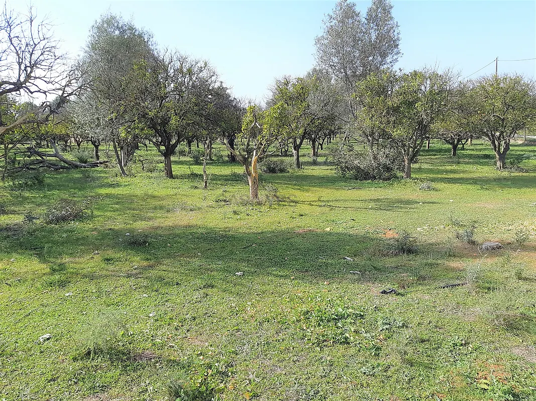 Moradia T2 à venda em Santa Bárbara de Nexe, Faro — foto 11