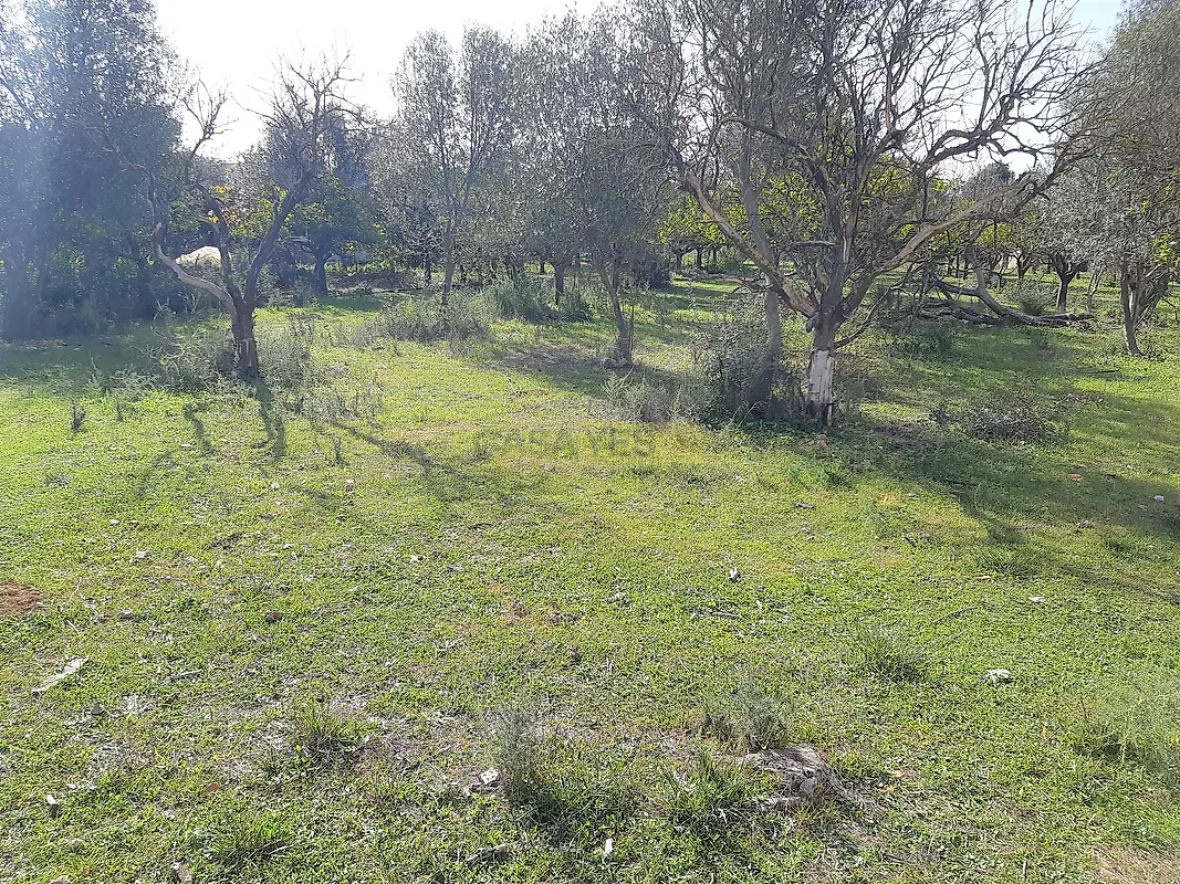 Moradia T2 à venda em Santa Bárbara de Nexe, Faro — foto 12