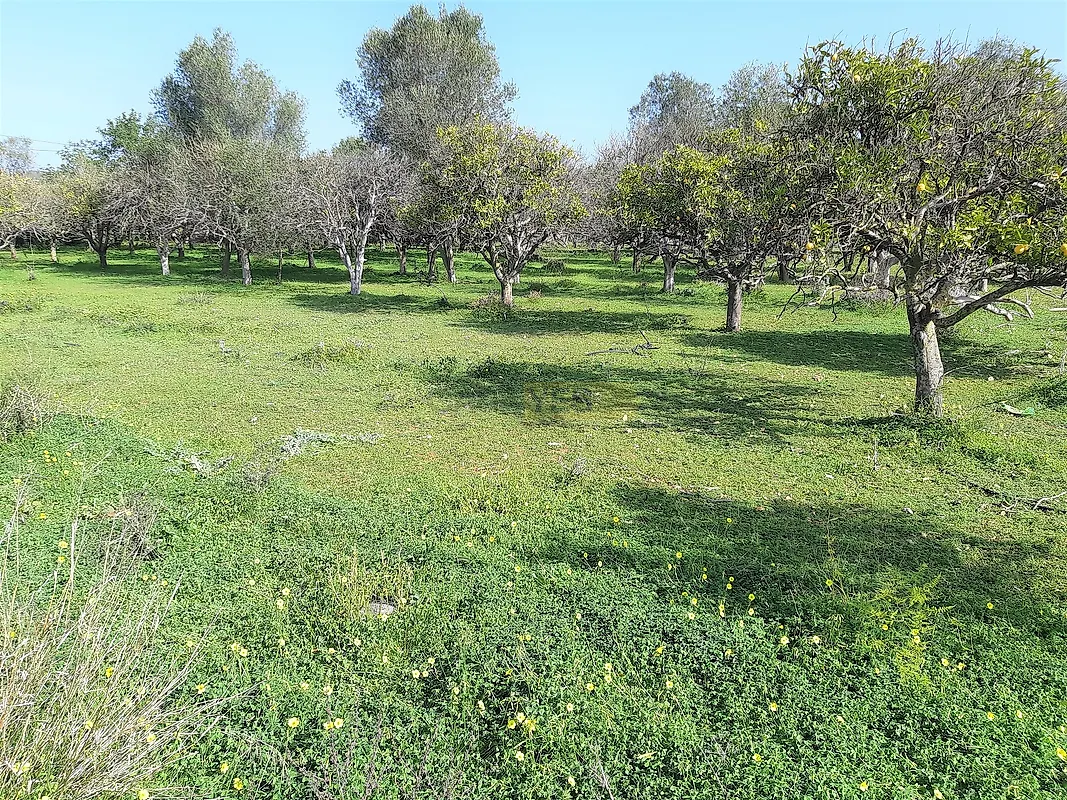 Moradia T2 à venda em Santa Bárbara de Nexe, Faro — foto 13