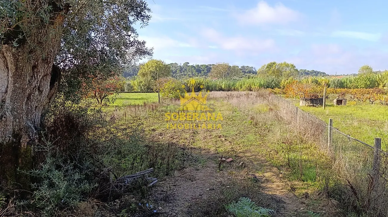 Moradia T1 à venda em Madalena e Beselga, Tomar — foto 21
