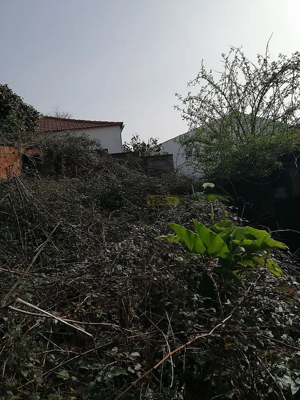 Moradia T4 à venda em Talhadas, Sever do Vouga — foto 11