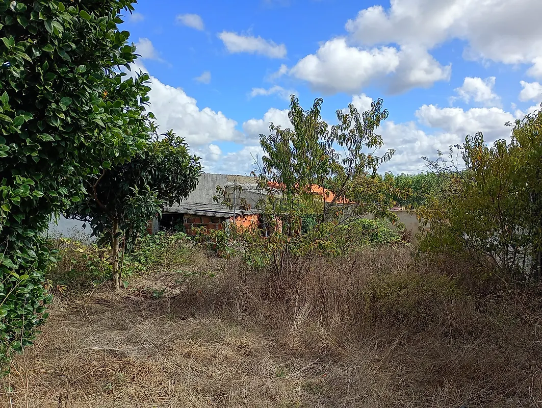 Moradia T4 à venda em Fonte de Angeão e Covão do Lobo, Vagos — foto 7