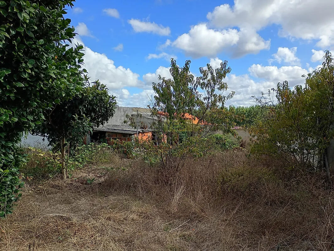 Moradia T4 à venda em Fonte de Angeão e Covão do Lobo, Vagos — foto 11