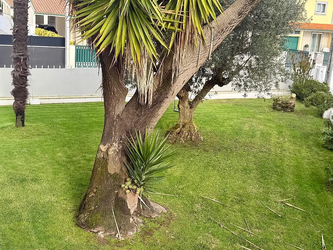 Moradia T4 à venda em São Bernardo, Aveiro — foto 10