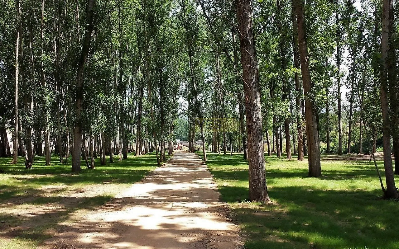 Moradia T4 à venda em Albergaria-a-Velha e Valmaior, Albergaria-a-Velha — foto 9
