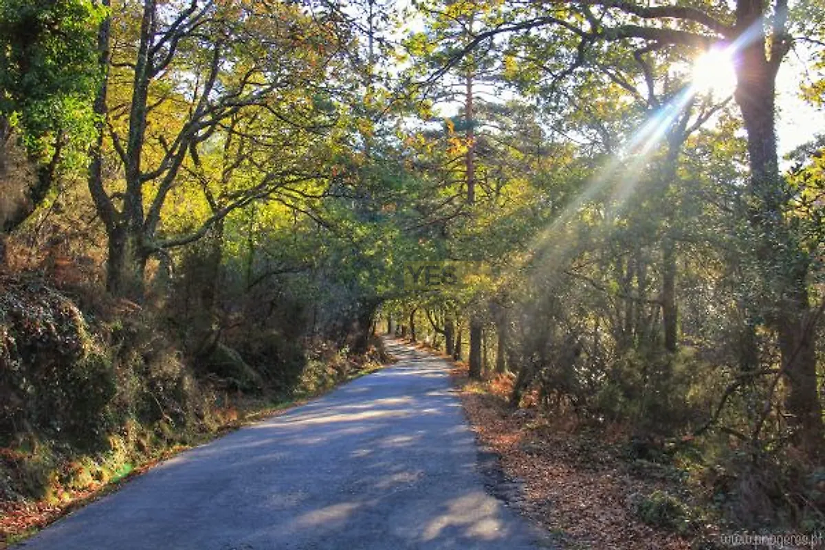 Moradia T4 à venda em Albergaria-a-Velha e Valmaior, Albergaria-a-Velha — foto 12