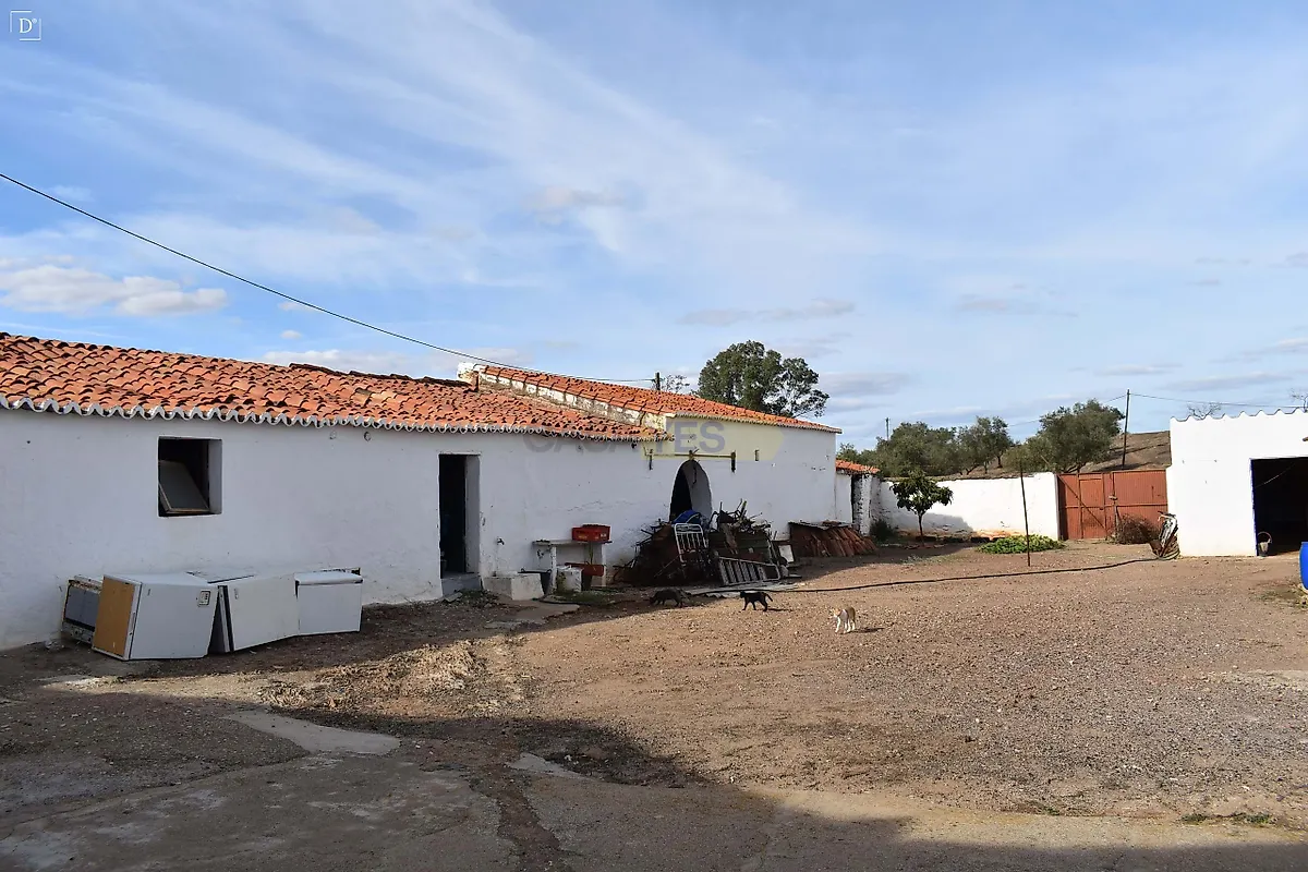 Moradia T6+ à venda em Corte do Pinto, Mértola — foto 7