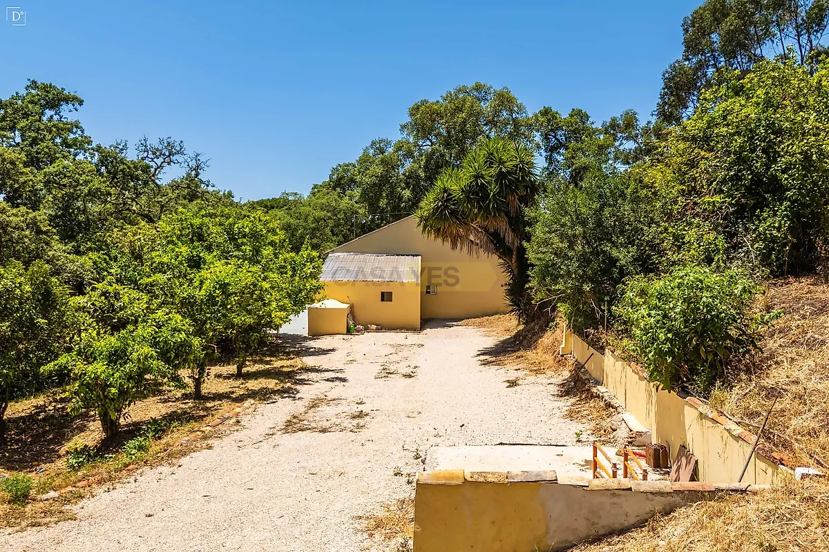 Moradia T3 à venda em Marmelete, Monchique — foto 33