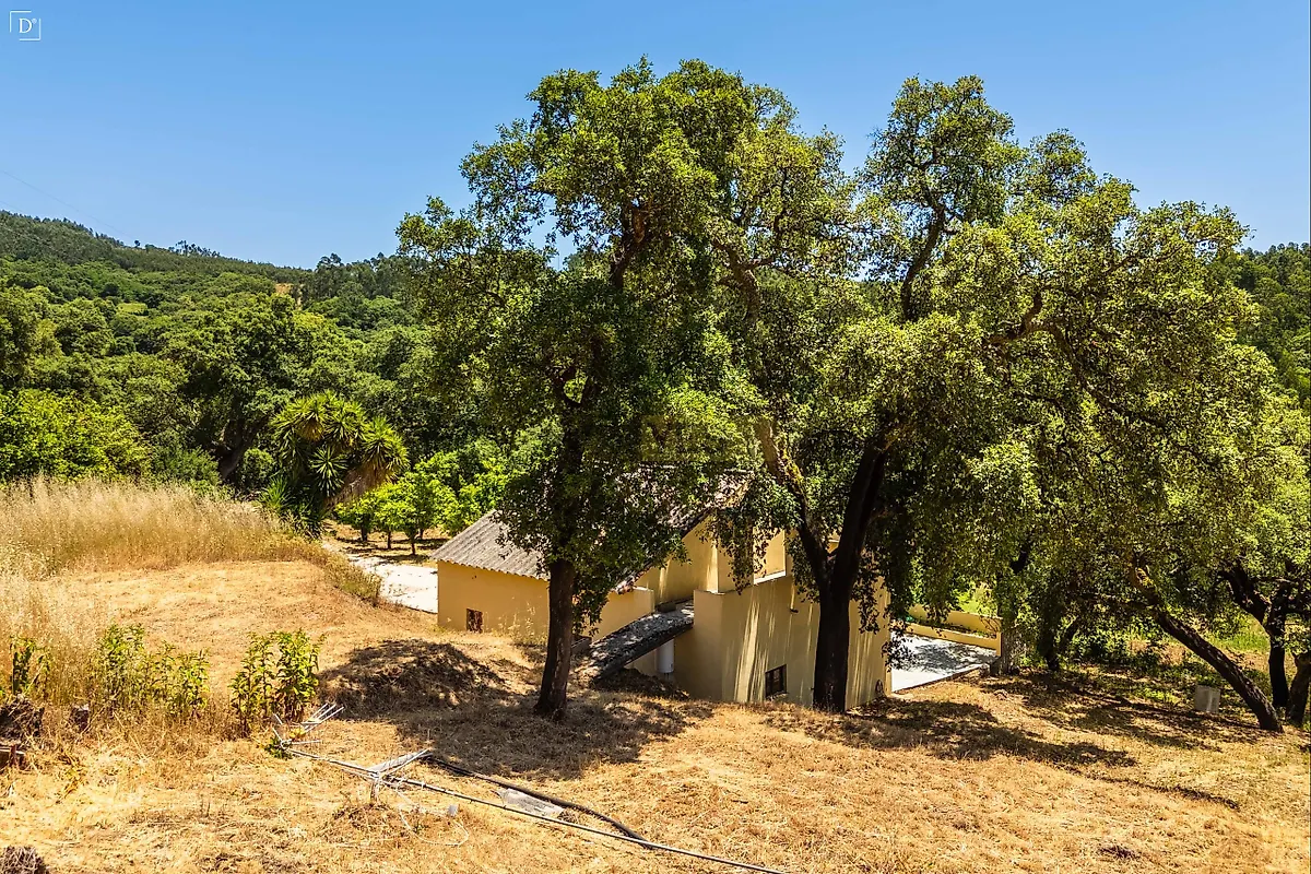 Moradia T3 à venda em Marmelete, Monchique — foto 6