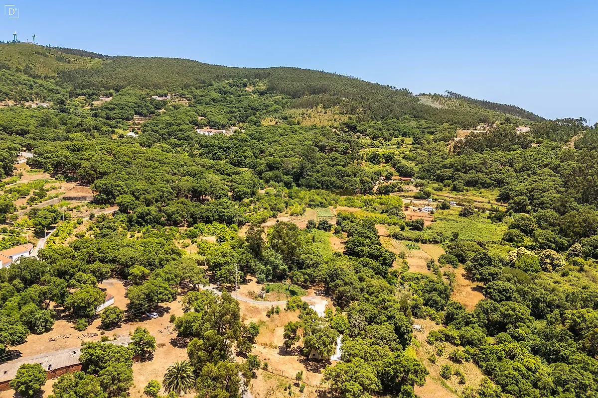 Moradia T3 à venda em Marmelete, Monchique — foto 35