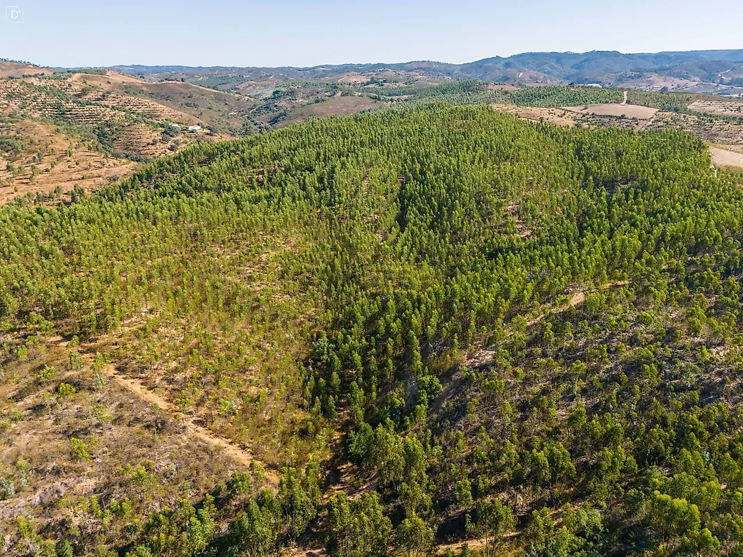 Moradia T4 à venda em Sabóia, Odemira — foto 39