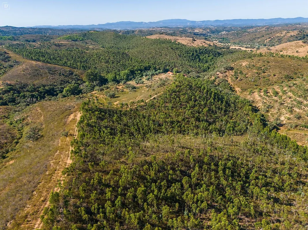 Moradia T4 à venda em Sabóia, Odemira — foto 33
