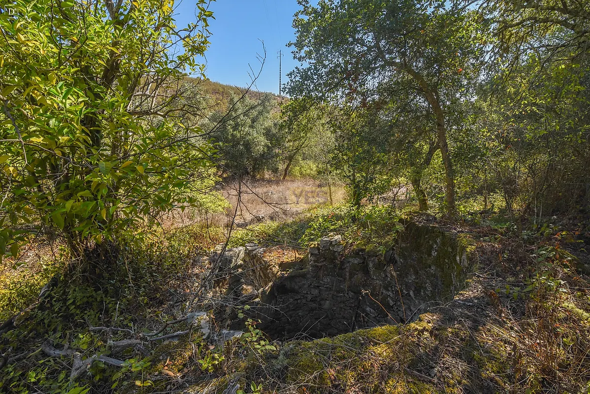 Moradia T5 à venda em Santana da Serra, Ourique — foto 22