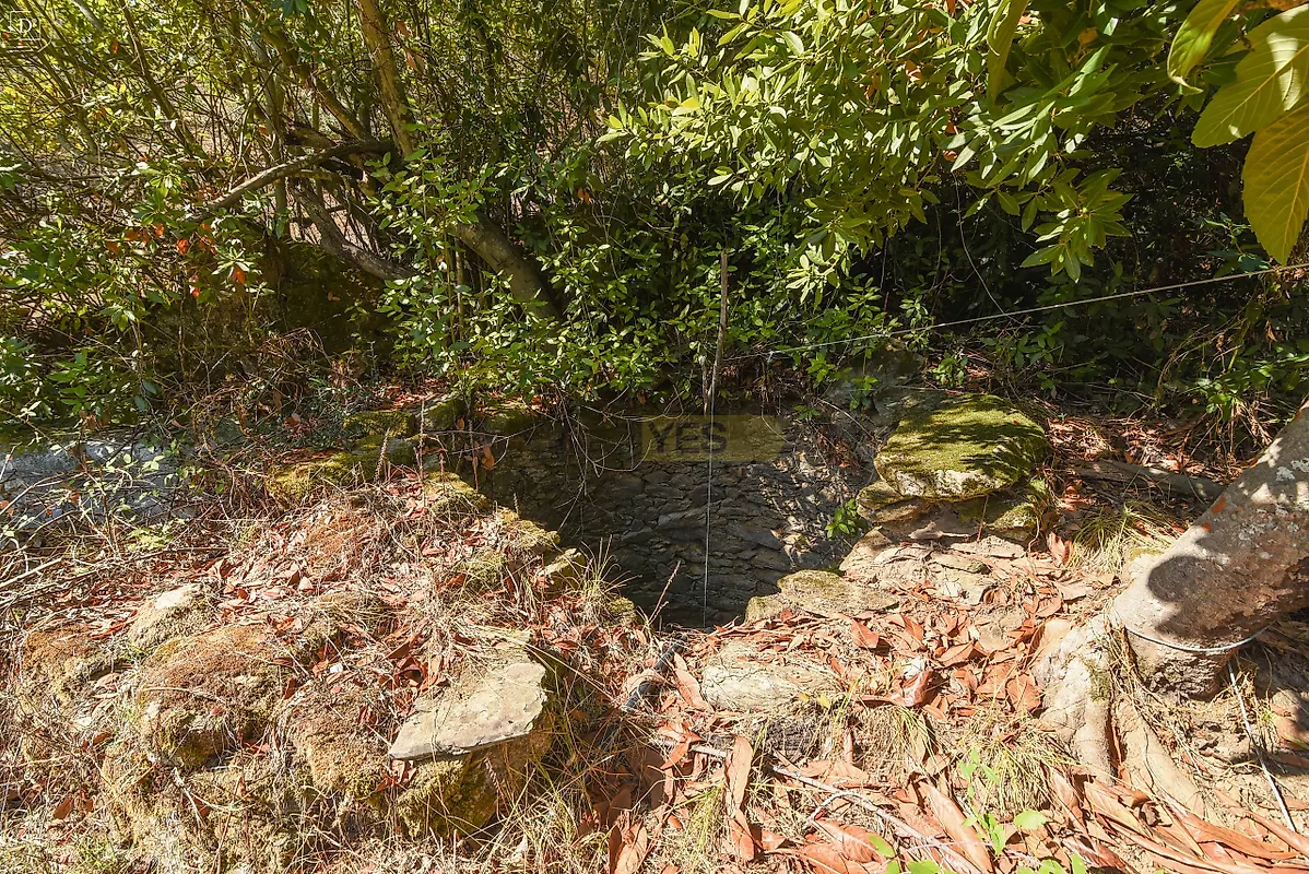 Moradia T5 à venda em Santana da Serra, Ourique — foto 21