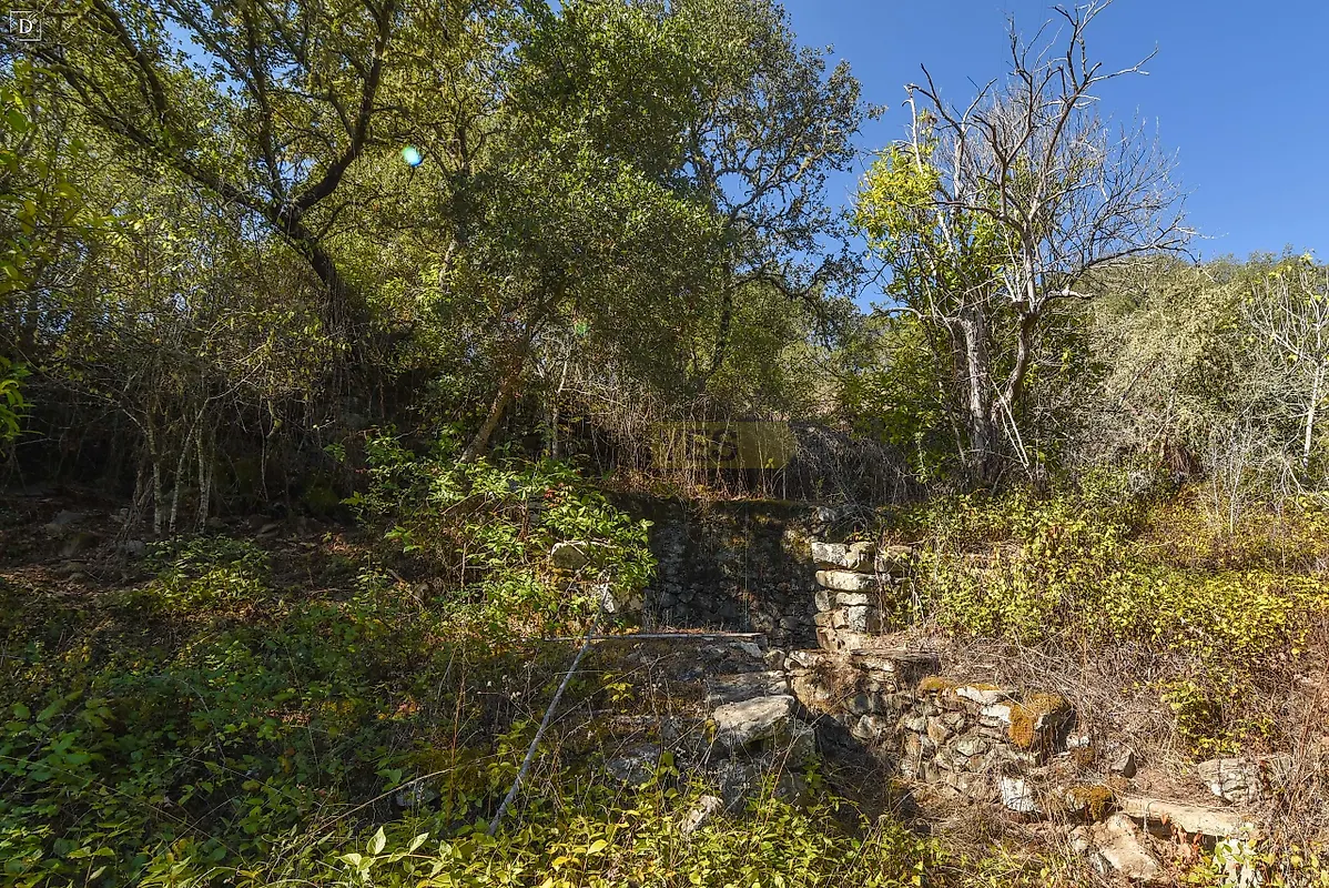 Moradia T5 à venda em Santana da Serra, Ourique — foto 19