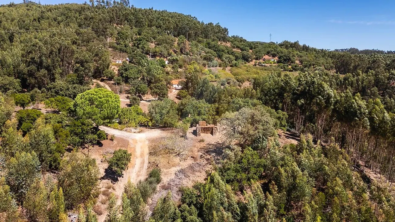 Moradia T2 à venda em Marmelete, Monchique — foto 33