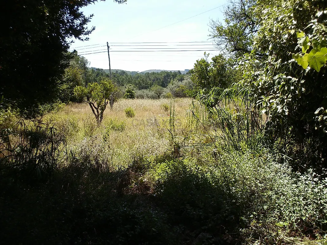 Moradia T1 à venda em Condeixa-a-Velha e Condeixa-a-Nova, Condeixa-a-Nova — foto 5