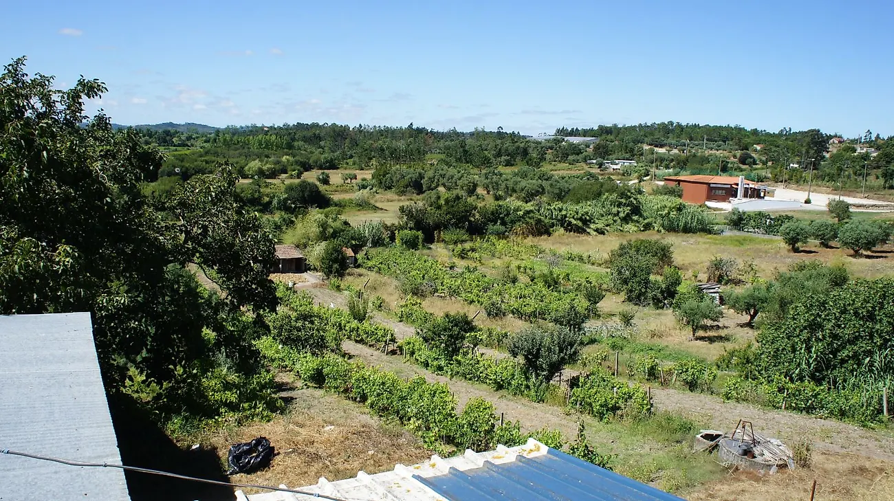 Moradia T6+ à venda em Vila Nova de Anços, Soure — foto 17