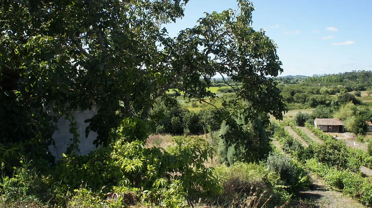 Moradia T6+ à venda em Vila Nova de Anços, Soure — foto 19