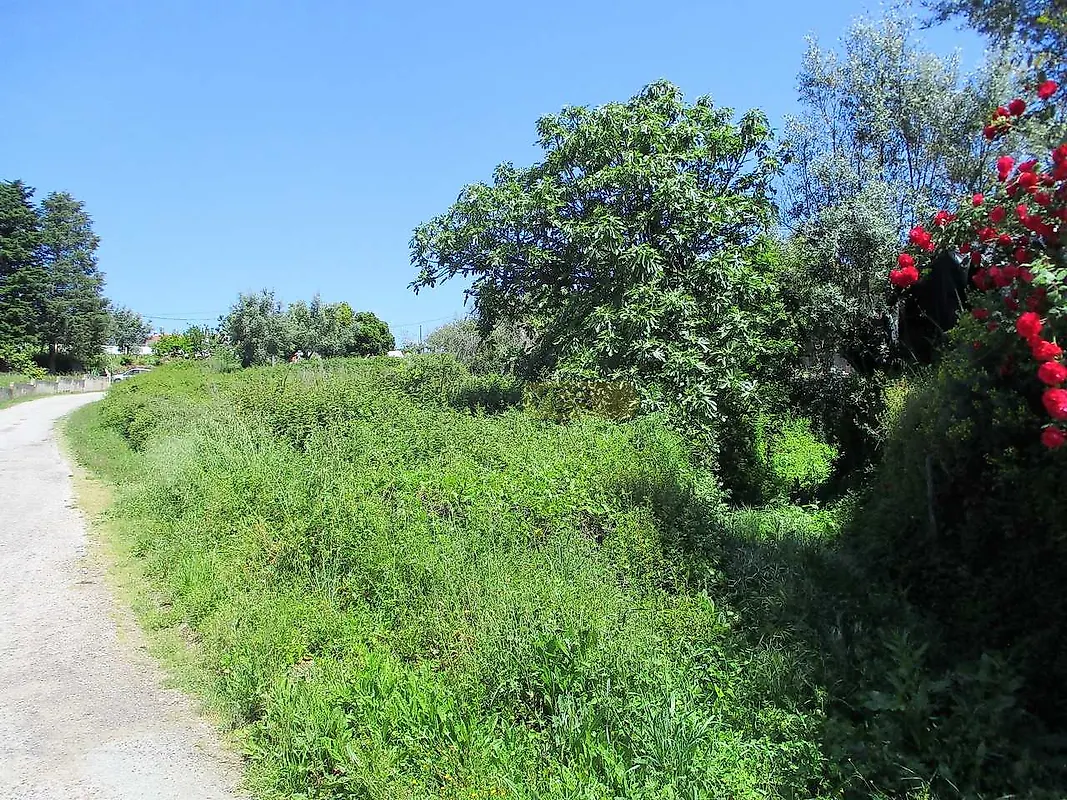 Moradia T0 à venda em Podentes, Penela — foto 6