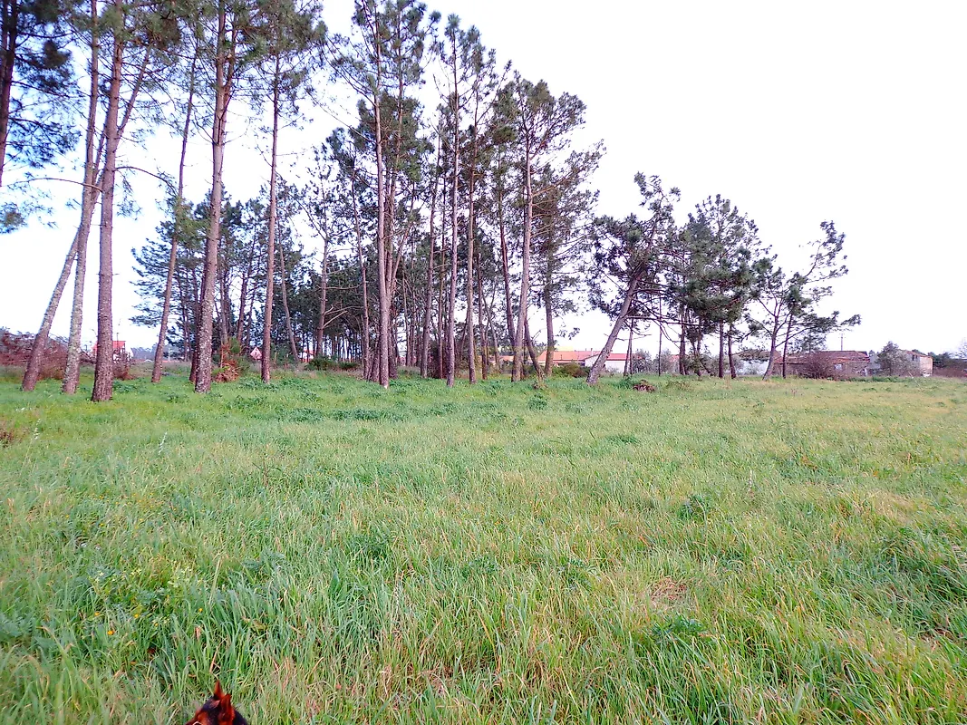 Moradia T2 à venda em Paião, Figueira da Foz — foto 7