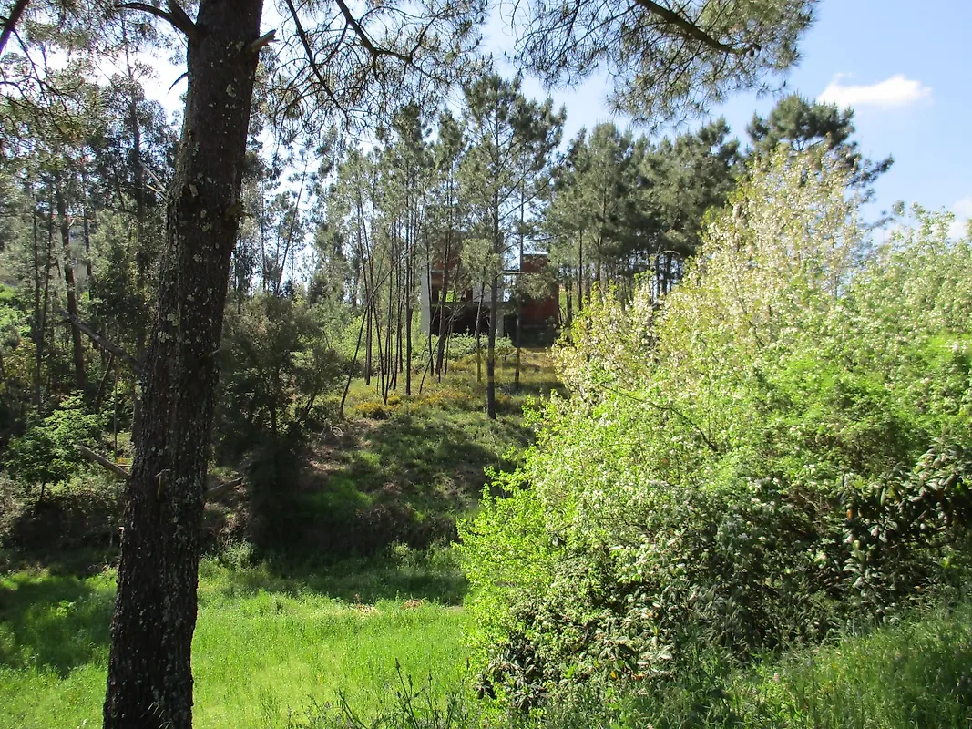 Moradia T5 à venda em Semide e Rio Vide, Miranda do Corvo — foto 9
