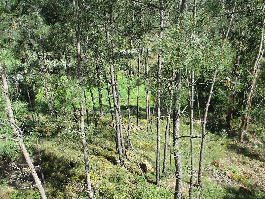 Moradia T5 à venda em Semide e Rio Vide, Miranda do Corvo — foto 7