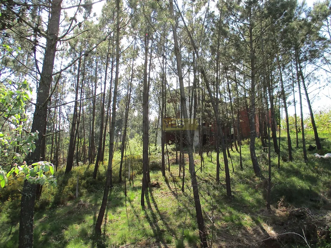 Moradia T5 à venda em Semide e Rio Vide, Miranda do Corvo — foto 8