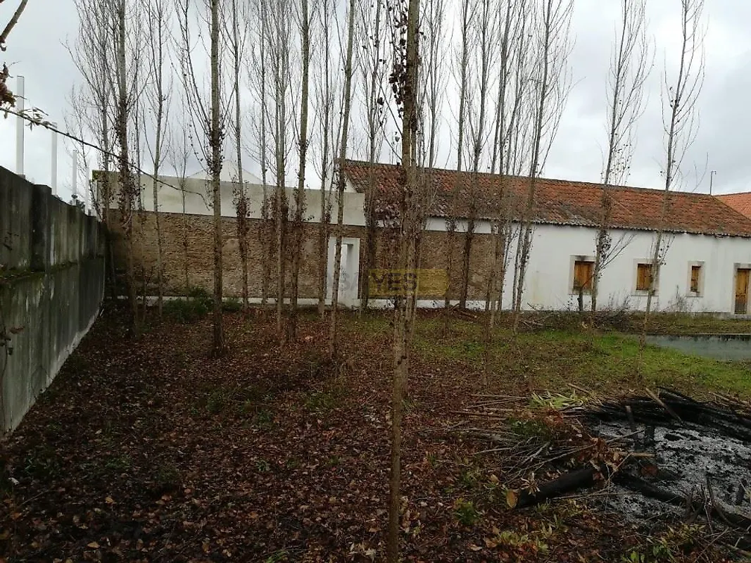 Moradia T6+ à venda em Santa Margarida da Coutada, Constância — foto 10