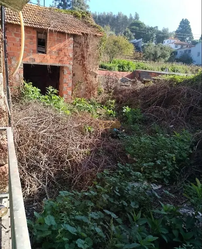 Moradia T0 à venda em São João de Loure e Frossos, Albergaria-a-Velha — foto 10