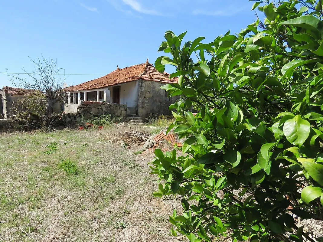 Moradia T3 à venda em degracias e Pombalinho, Soure — foto 4