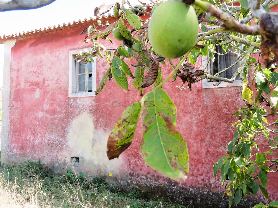 Moradia T3 à venda em degracias e Pombalinho, Soure — foto 7
