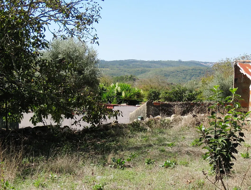 Moradia T3 à venda em degracias e Pombalinho, Soure — foto 13