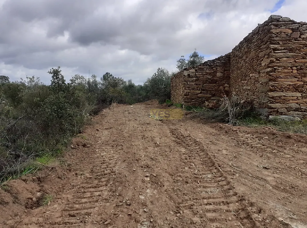 Moradia T0 à venda em Escalos de Baixo e Mata, Castelo Branco — foto 3