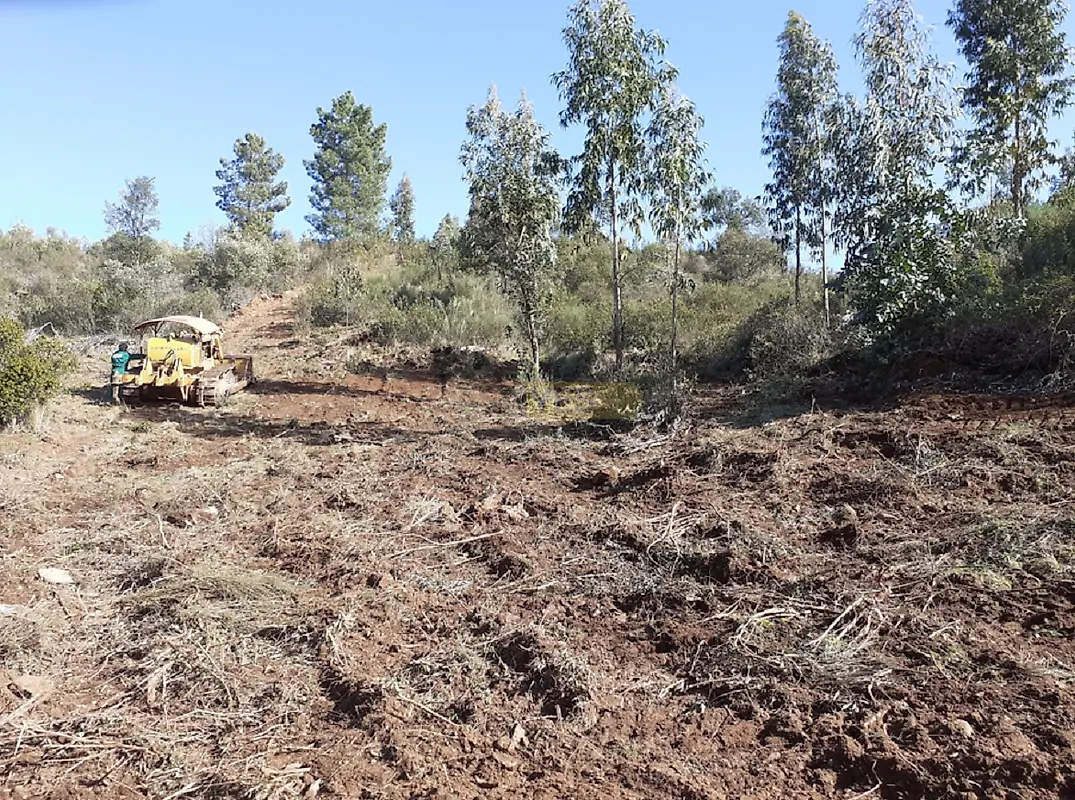 Moradia T0 à venda em Escalos de Baixo e Mata, Castelo Branco — foto 14