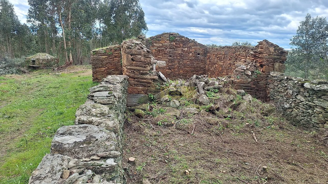 Moradia T0 à venda em Escalos de Baixo e Mata, Castelo Branco — foto 8