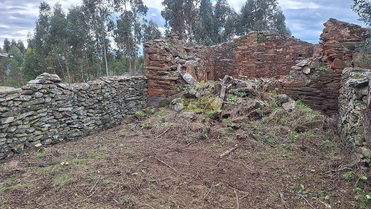 Moradia T0 à venda em Escalos de Baixo e Mata, Castelo Branco — foto 12