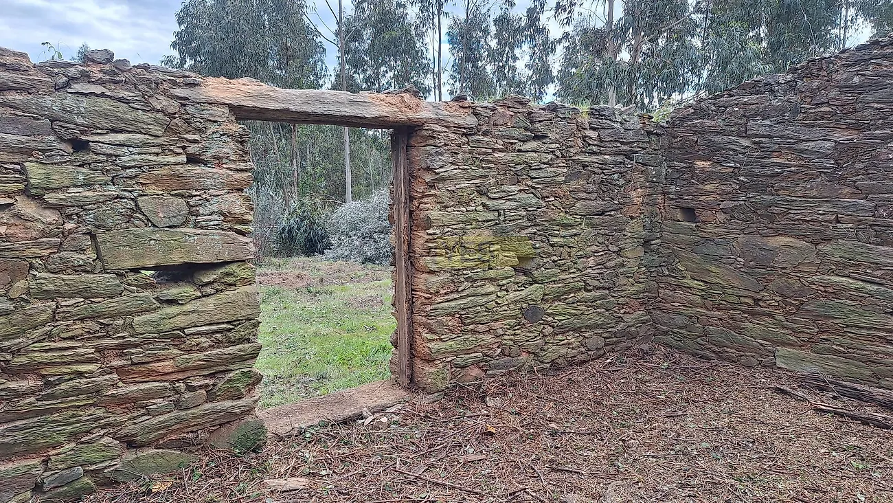 Moradia T0 à venda em Escalos de Baixo e Mata, Castelo Branco — foto 15