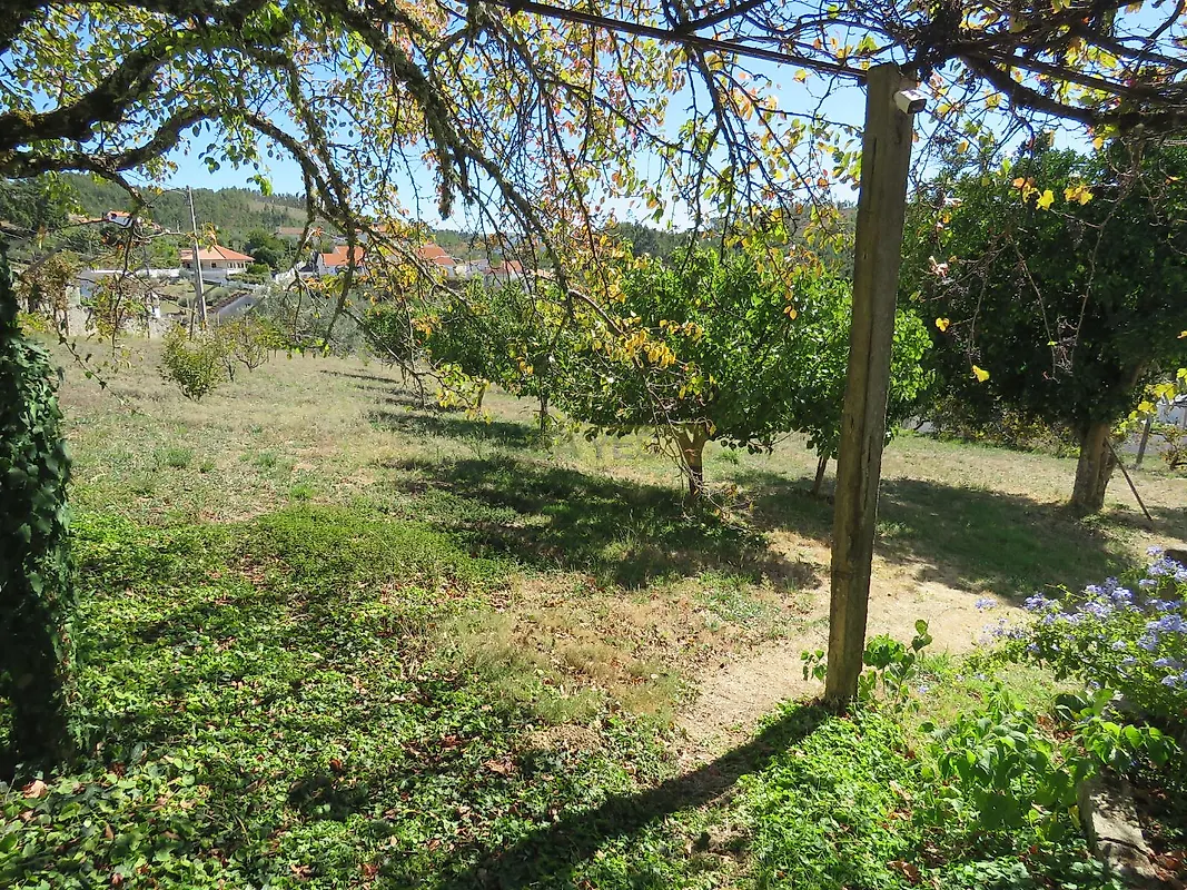 Moradia T5 à venda em Portela do Fojo-Machio, Pampilhosa da Serra — foto 10